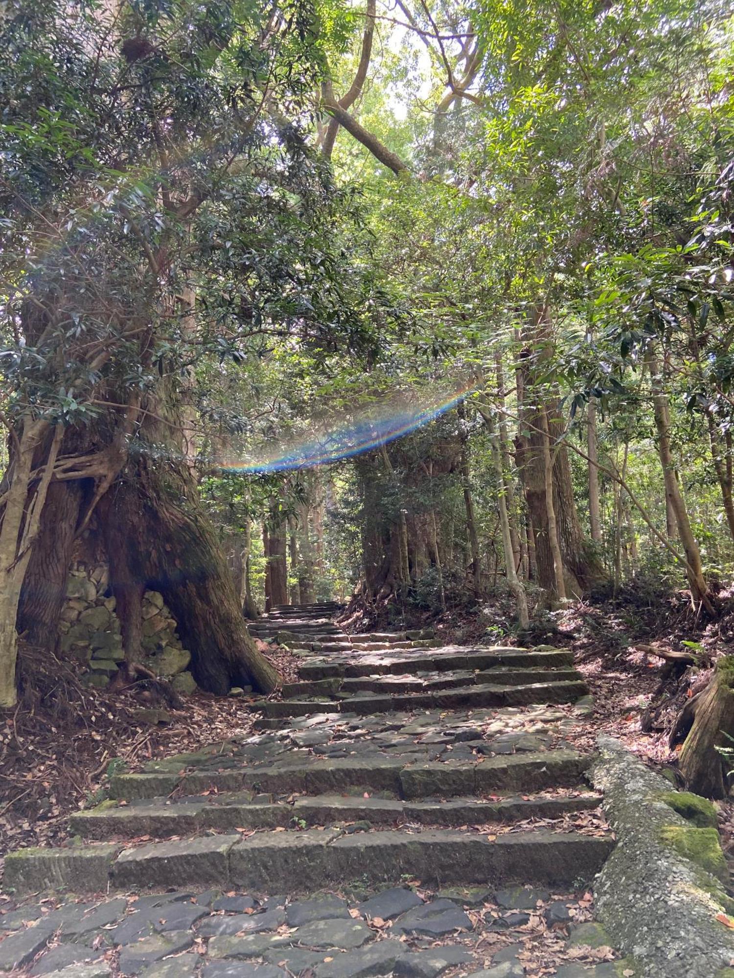 癒し宿 かぐら 串本町 エクステリア 写真